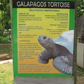 galapagos-tortoise 7390186216 o