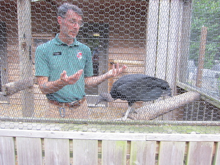 ranger-john-and-the-black-vulture 7390045380 o