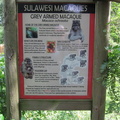 sulawesi-macaques 7393771026 o