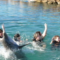 dancing-with-the-dolphin_8430442744_o.jpg