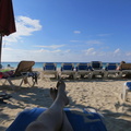 jason-relaxes-on-the-beach 8435837492 o