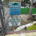 feed-the-gators 34085202402 o