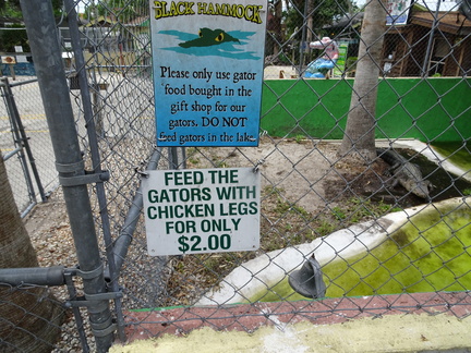 feed-the-gators 34085202402 o