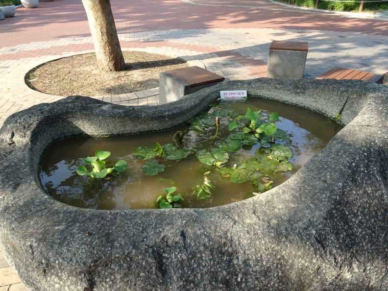 this-pond-has-the-same-plants-as-mine_48583256502_o.jpg