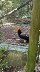 Trip to Nashville Zoo
