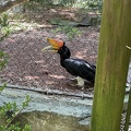 Trip to Nashville Zoo