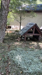 Guinea Pig habitat!