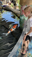 Trip to Nashville Zoo