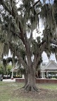IMG 4090