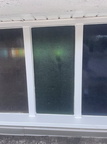 Whole window view