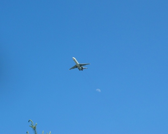 airplane-and-moon 19627254 o