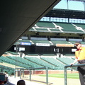 camden-yards-from-the-dugout 2426114195 o